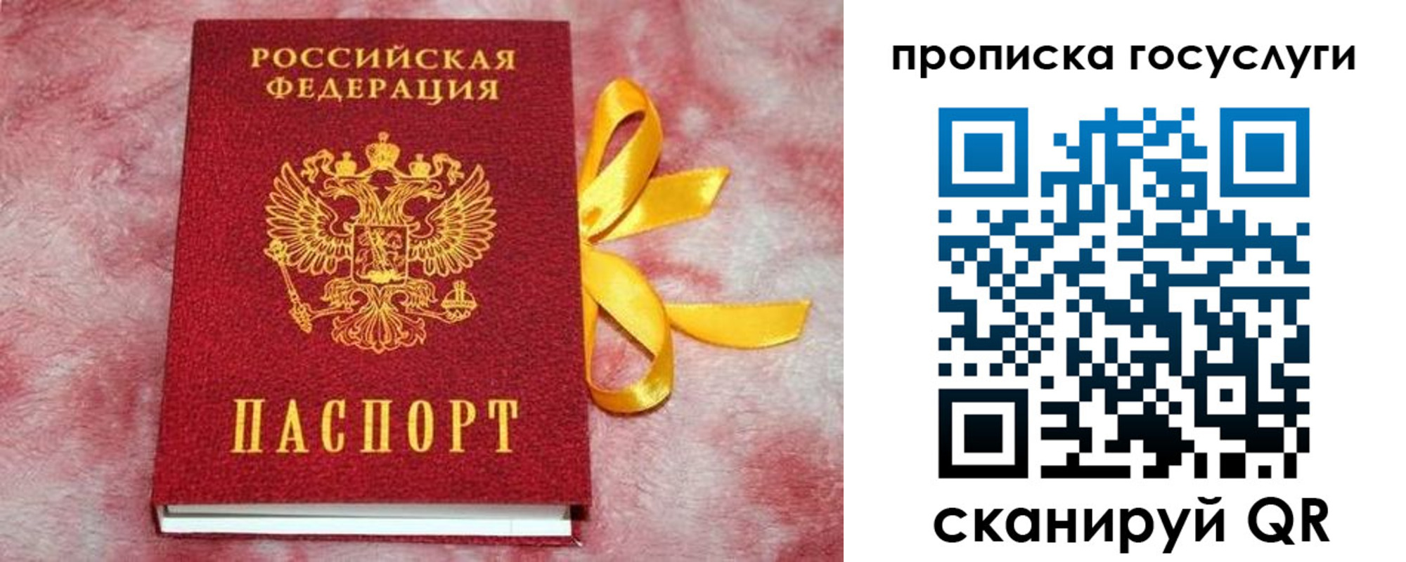 прописка законно в Осинниках
